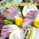 【ふるさと納税】A12-043【高鮮度】鮮魚活〆シマアジお...