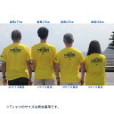 神奈川県三浦市の画像3