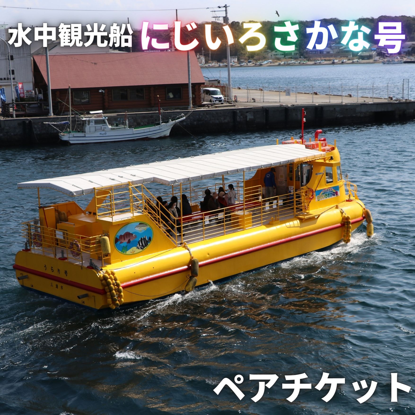 【ふるさと納税】B12-003 水中観光船 にじいろさかな号 ペア乗船券