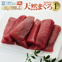 A11-023 （徳用）老舗三崎まぐろ問屋から直送！天然マグロ赤身1kg（最大4カ月待ち）