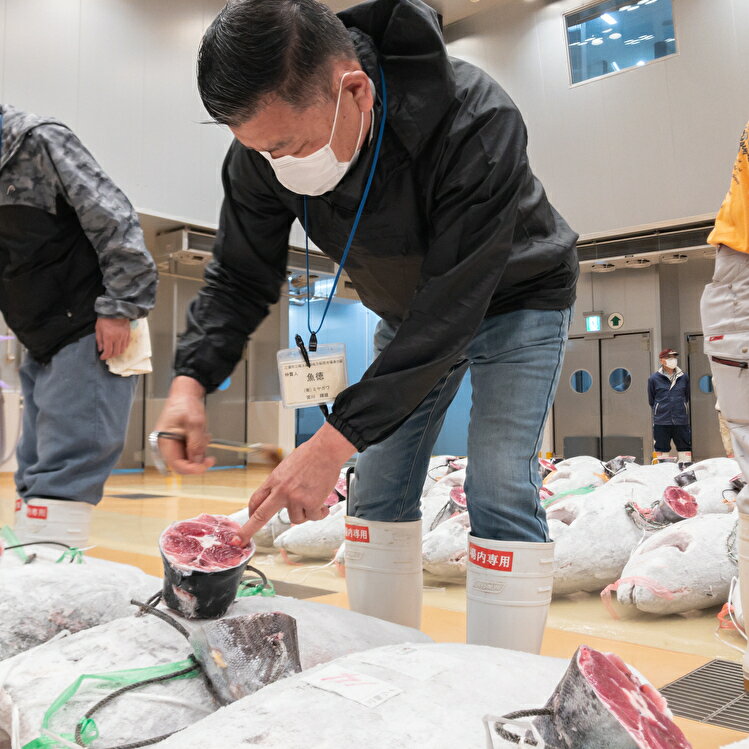 【ふるさと納税】A45-001料亭の味をご自宅で、マグロの目利き名人宮川輝雄が送る　逸品のマグロ　赤身＆中トロ