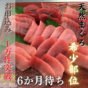 神奈川県三浦市の画像2