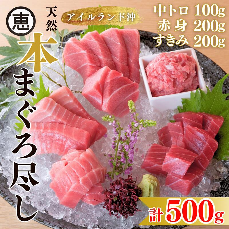 【ふるさと納税】A22-010 【まぐろ尽くし】天然本まぐろ詰合せ 500g（中トロ100g,赤身200g,すきみ200g）