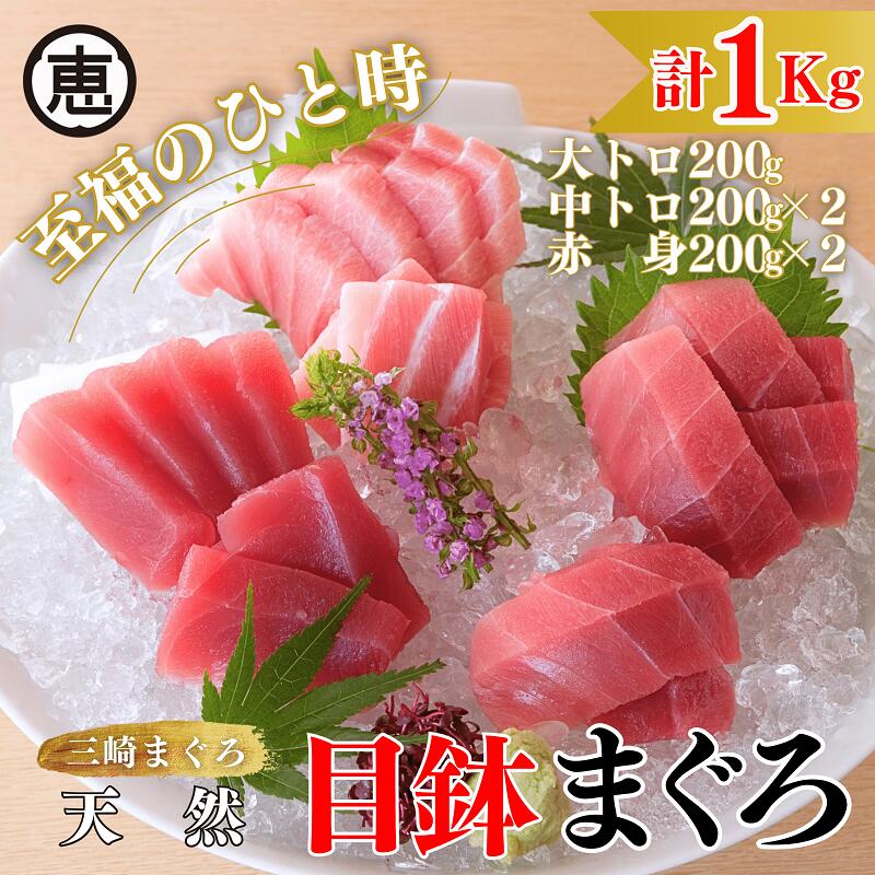 【ふるさと納税】A28-001【至福のひと時】天然目鉢まぐろ 1kg（大トロ200g，中トロ400g，赤身400g）