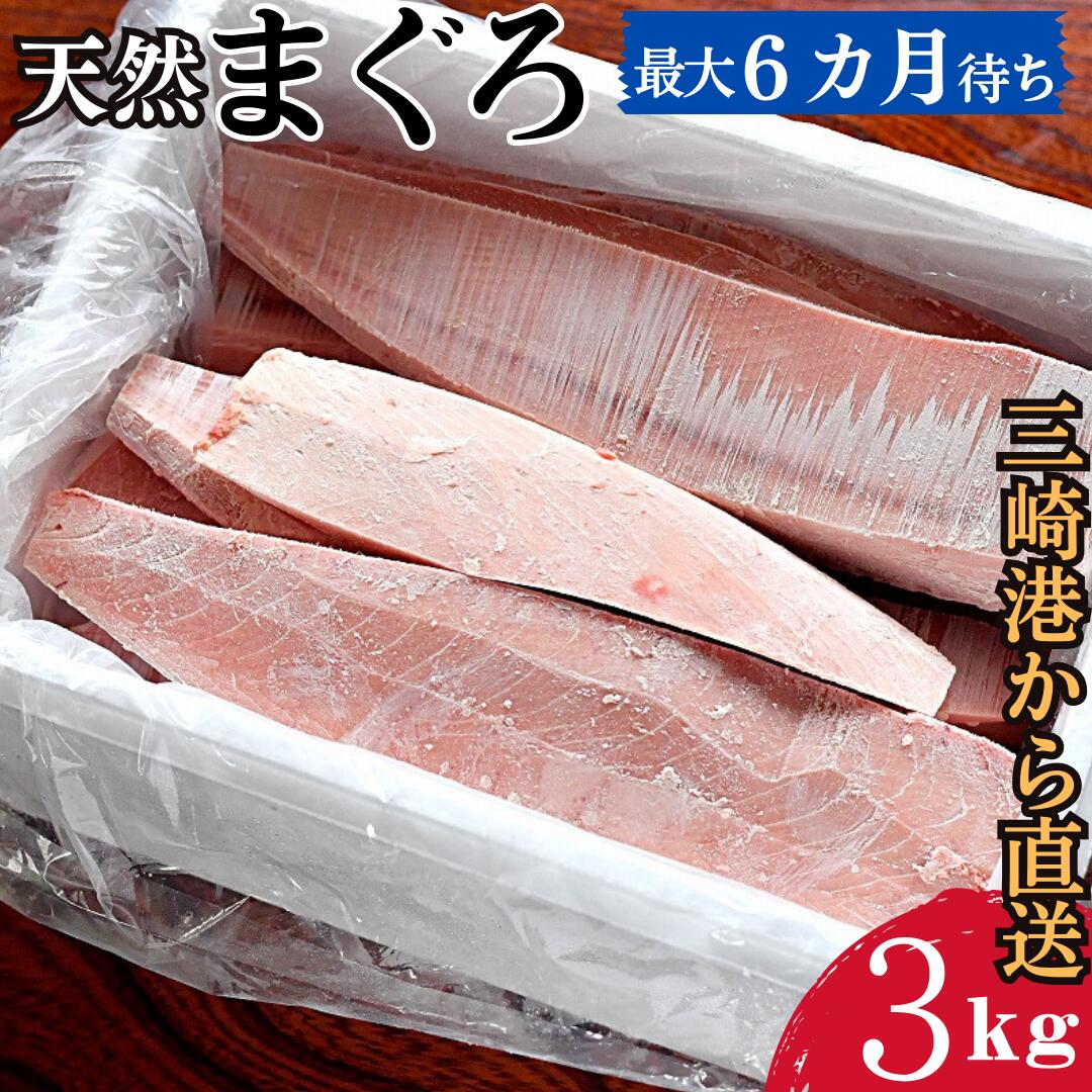 [復活!!]これを選べば間違いなし!とにかくたくさん食べたい人に!三崎の天然鮪3kg(最大6カ月待ち)