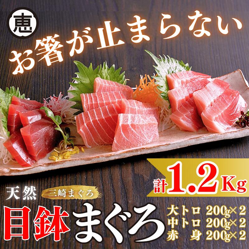 【ふるさと納税】A32-003 【お箸が止まらない】天然目鉢まぐろ1.2kg（大トロ400g，中トロ400g，赤身400g）