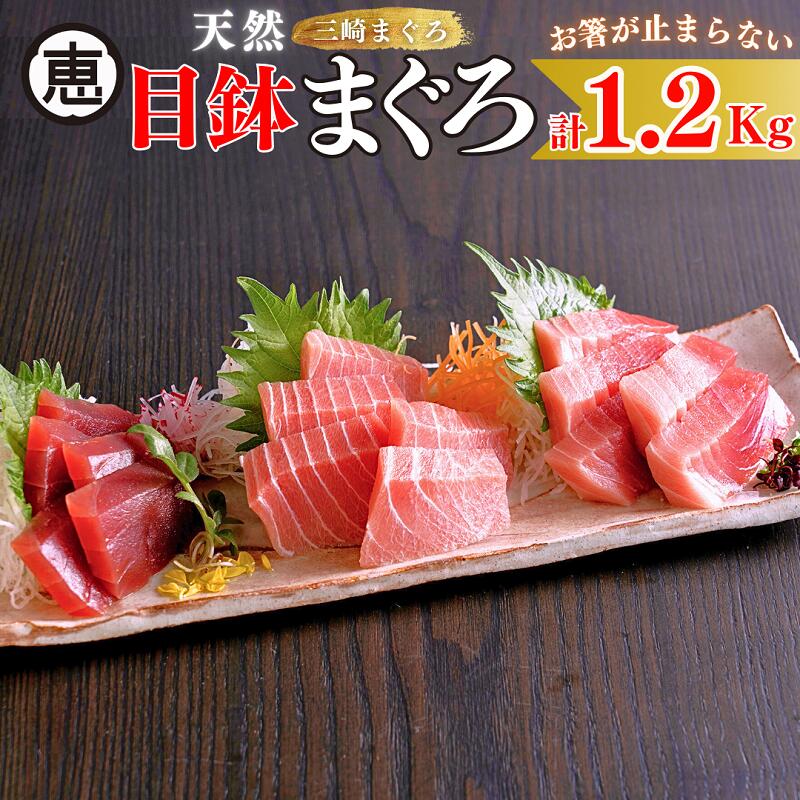 【ふるさと納税】A32-003 【お箸が止まらない】天然目鉢まぐろ1.2kg（大トロ400g，中トロ400g，赤身400g）