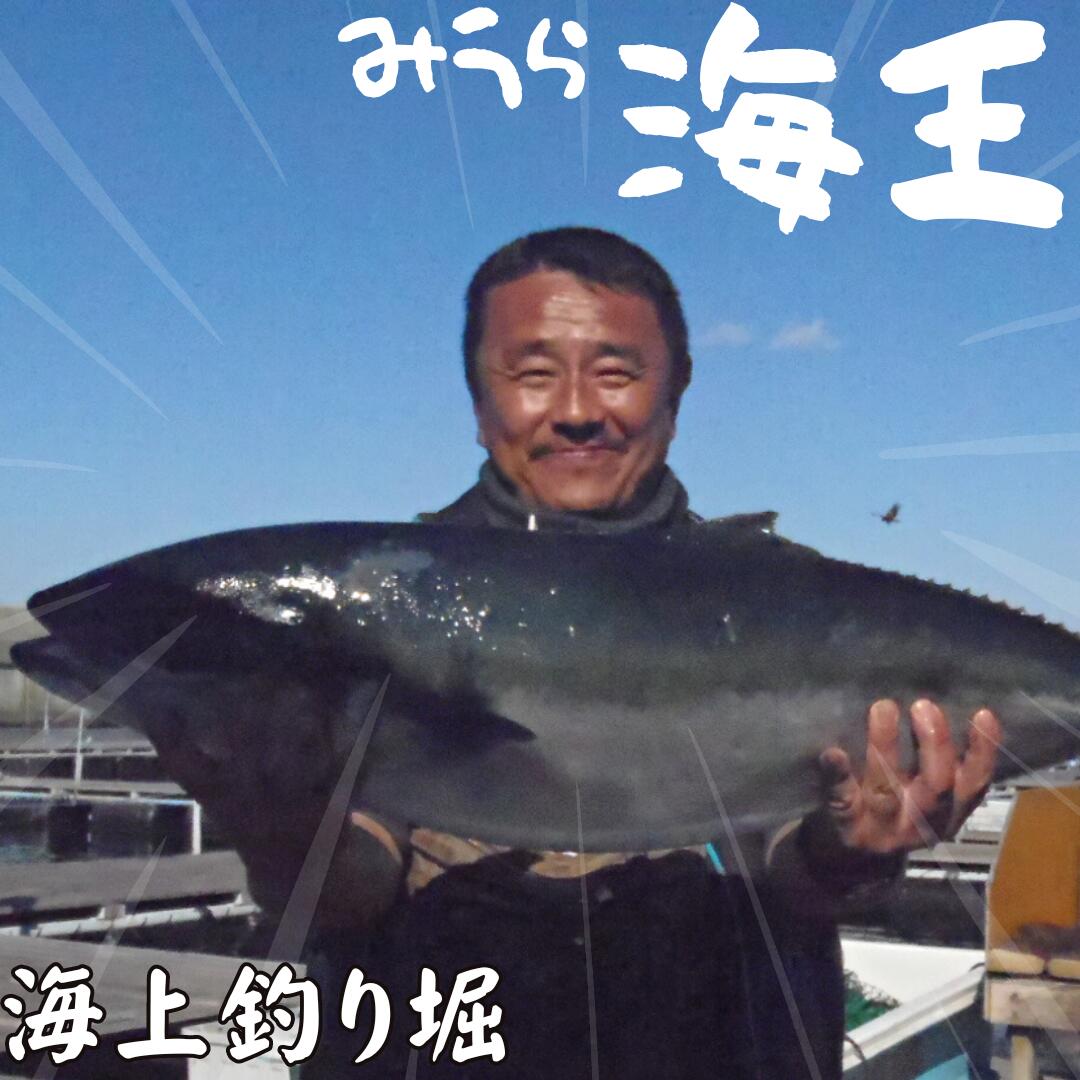 「海上釣り堀みうら海王」無料招待券