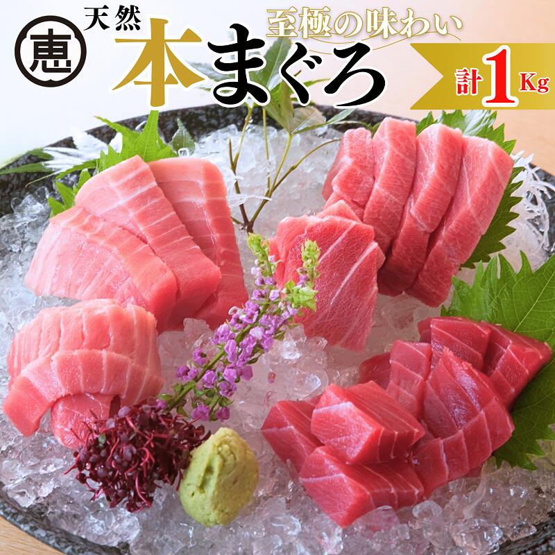 [至極の味わい]天然本まぐろ 1kg(大トロ200g,中トロ400g, 赤身400g)