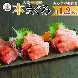 【ふるさと納税】A70-004 【みんなの心彩る】天然本まぐろ 1.2kg（大トロ400g，中トロ400g，赤身400g）