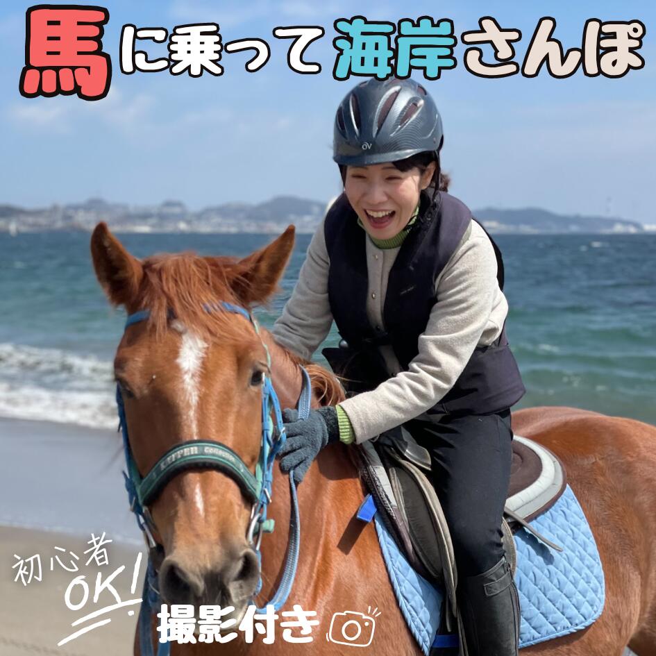 【ふるさと納税】B84-001 馬と風光明媚な三浦の街と海岸で過ごす　馬に乗って三浦をお散歩～海岸外乗120分～