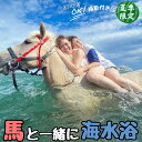 【ふるさと納税】 乗るだけの乗馬から、馬と一緒に楽しむ乗馬へ 三浦の海で馬と一緒に海水浴~海馬:うみうま90分~