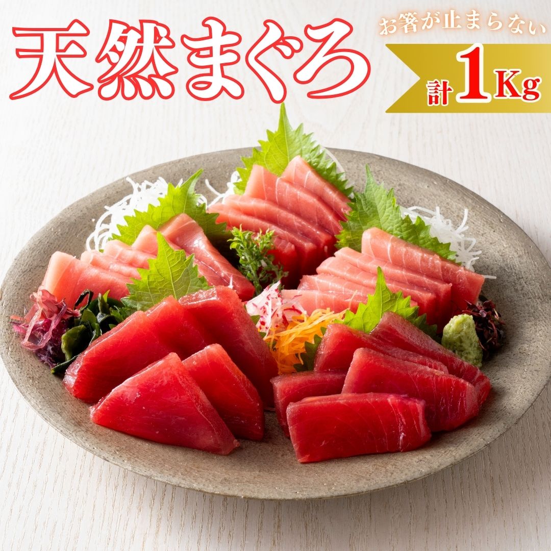 【ふるさと納税】 【至福のひと時】天然目鉢まぐろ 1kg(大トロ200g、中トロ400g、赤身400g)