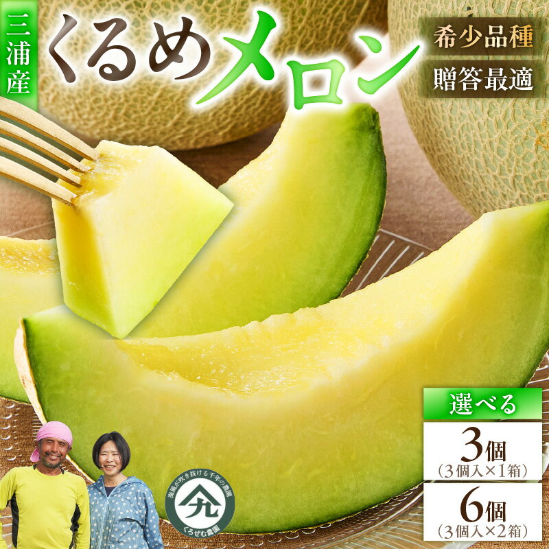 【ふるさと納税】＜選べる＞ 贈答用 メロン 3個 or 6個 ボリューム セット くるめメロン 緑肉 フルーツ 果物 期間 数量 限定 貴重 とろける 甘い さわやか 幻 おいしい 国産 めろん 旬の果物 果実 贈答 くろぜむ農園 神奈川 三浦市 おすすめ ランキング プレゼント ギフト