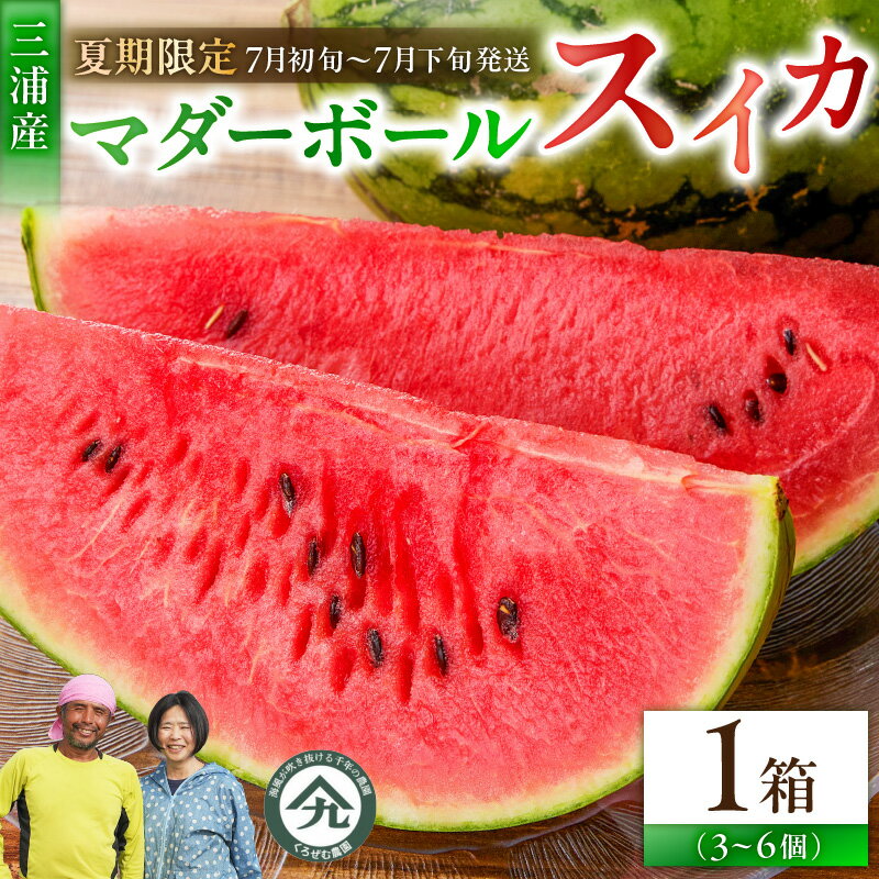 【ふるさと納税】 マダーボールスイカ 3個 〜 6個 スイカ すいか 西瓜 フルーツ 果物 果実 小玉 ジュー..