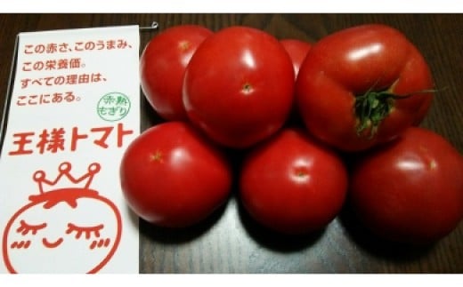 【ふるさと納税】 王様トマト 贅沢セット 3kg以上 トマト とまと 野菜 王様とまと 完熟 赤熟もぎり リコピン 美白効果 日持ちがよい 美味しい おいしい みずみずしい 期間限定 季節の野菜 旬のやさい くろぜむ農園 神奈川 三浦市 おすすめ ランキング プレゼント ギフト