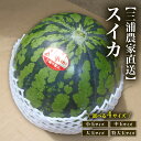 【ふるさと納税】<選べる> 三浦農家直送 スイカ 1個 〜 4個 小玉 〜 特大玉 すいか 西瓜 フルーツ 果物 果実 ジューシー 甘い 夏季 数量 期間 限定...