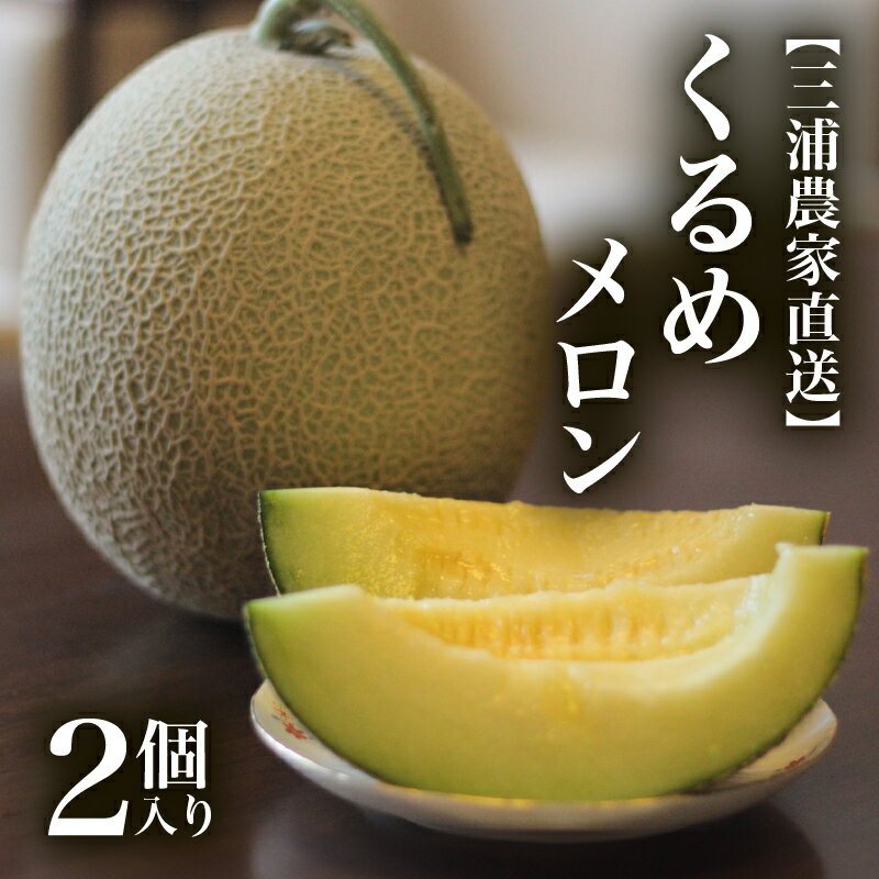 【ふるさと納税】 三浦農家直送 くるめメロン 2個入り メロン 緑肉 フルーツ 果物 果実 期間限定 数量限定 限定 甘い あまい 美味しい おいしい 採れたて 直送 めろん 旬の果物 贈答 ヤマイチ農園 ふるさと納税 神奈川 三浦市 おすすめ ランキング プレゼント ギフトのサムネイル