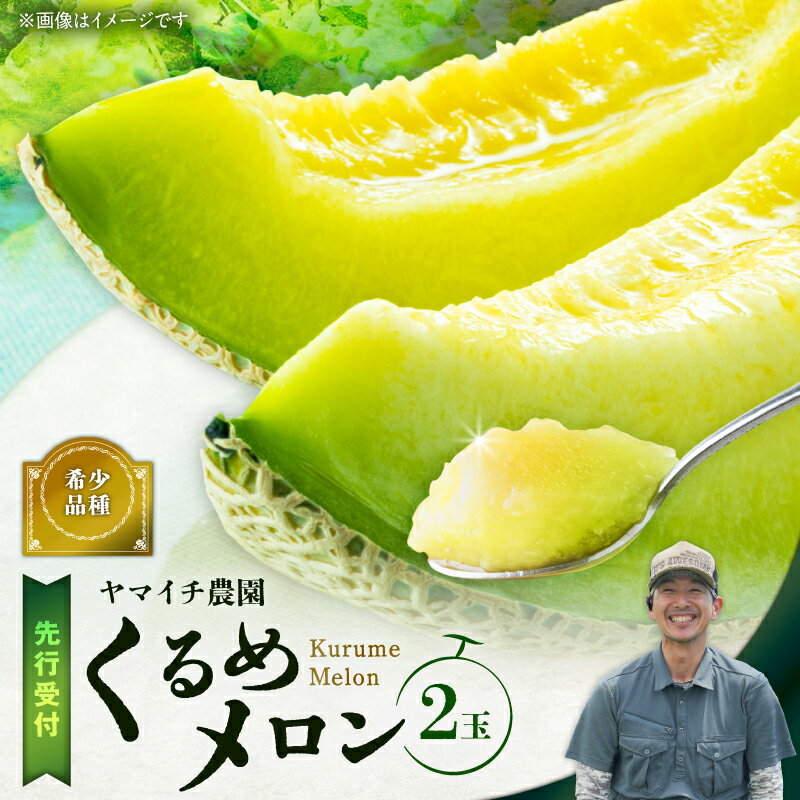 三浦農家直送 くるめメロン 2個入り メロン 緑肉 フルーツ 果物 果実 期間限定 数量限定 限定 甘い あまい 美味しい おいしい 採れたて 直送 めろん 旬の果物 贈答 ヤマイチ農園 ふるさと納税 神奈川 三浦市 おすすめ ランキング プレゼント ギフト