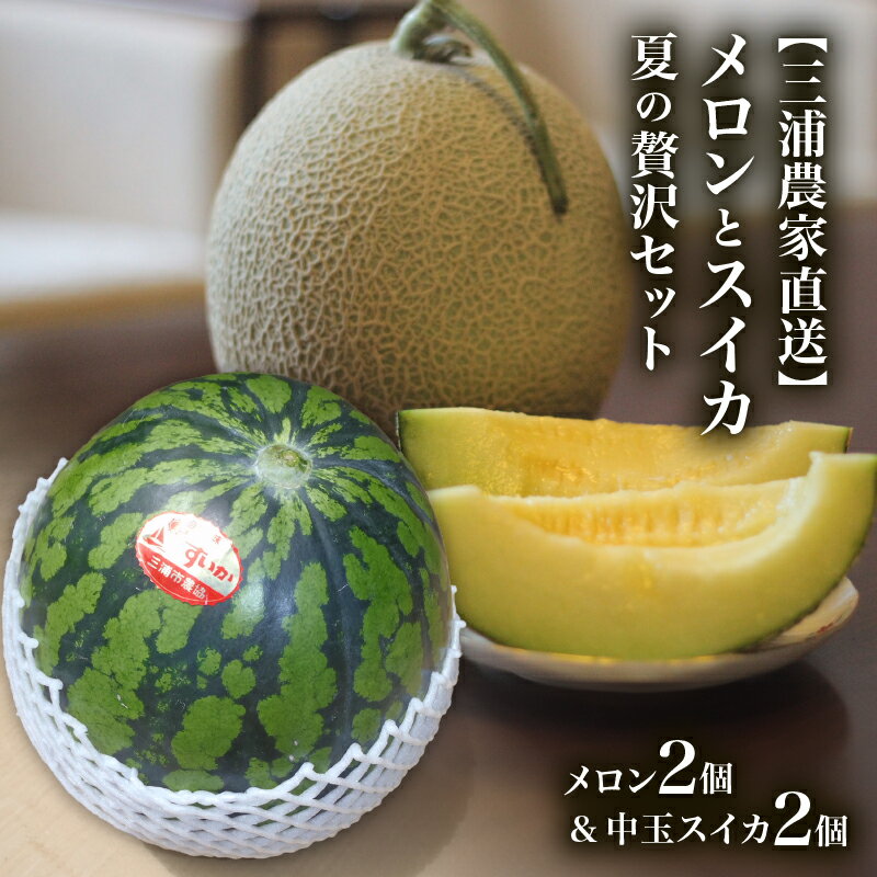 【ふるさと納税】 三浦農家直送 メロン と スイカ 夏の贅沢 セット 緑肉 すいか 西瓜 フルーツ 果物 果..