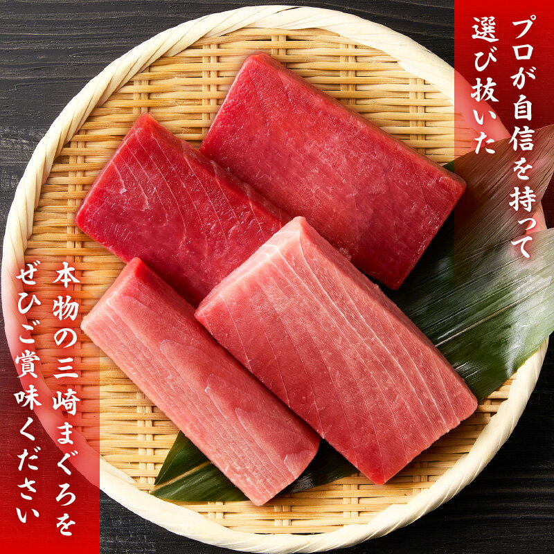 【ふるさと納税】 定期便 特選 寿司用 南まぐろ 1本 頭付き 1〜12回配送 定期便 まぐろ 鮪 マグロ 南鮪 海鮮 魚 魚介 湊魚問屋 神奈川 三浦市 おすすめ ランキング プレゼント ギフト