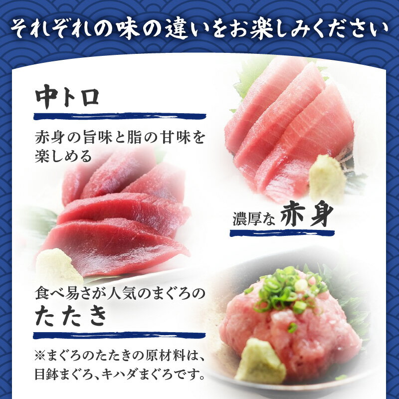 【ふるさと納税】 特選 本まぐろ 中トロ 赤身 ＋ たたき セット 760g まぐろ マグロ 鮪 本鮪 トロ ねぎとろ 三崎まぐろ 柵 刺身 魚音 神奈川県 三浦市 おすすめ ランキング プレゼント ギフト