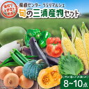 【ふるさと納税】 産直センターうらりマルシェ 旬の三浦産物セット 野菜 旬 新鮮 朝獲れ 野菜ソムリエ 厳選 農家 国産 セット 詰合せ おいしい サラダ 天...