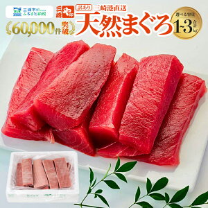 【ふるさと納税】【訳あり】<選べる> これを選べば間違いなし こだわりの三崎天然マグロ 赤身 1kg ~ 3kg まぐろ マグロ 鮪 天然 老舗 問屋 直送 業務用 大容量 三崎港 魚 数量限定 や印 神奈川 三浦市 おすすめ ランキング プレゼント ギフト