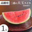 【ふるさと納税】 高糖度 三浦の 大玉スイカ 1玉 露地栽培 スイカ 大玉 甘い 甘味 果物 フルーツ 西瓜 夏季 期間限定 限定 おいしい 角田農園 ふるさと...
