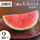 【ふるさと納税】 高糖度 三浦の 大玉スイカ 2玉 露地栽培 スイカ 大玉 甘い 甘味 果物 フルーツ 西瓜 夏季 期間限定 限定 おいしい 角田農園 ふるさと...