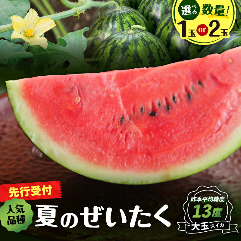 [選べる数量] 高糖度 三浦の 大玉スイカ 1玉 or 2玉 露地栽培 スイカ 大玉 甘い 甘味 果物 フルーツ 西瓜 夏季 期間限定 限定 おいしい すいか 旬の果物 果実 贈答 角田農園 神奈川 三浦市 おすすめ ランキング プレゼント ギフト