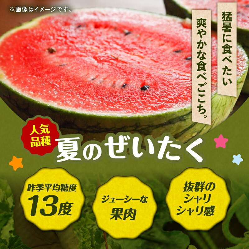 【ふるさと納税】＜選べる数量＞ 高糖度 三浦の 大玉スイカ 1玉 or 2玉 露地栽培 スイカ 大玉 甘い 甘味 果物 フルーツ 西瓜 夏季 期間限定 限定 おいしい すいか 旬の果物 果実 贈答 角田農園 神奈川 三浦市 おすすめ ランキング プレゼント ギフト