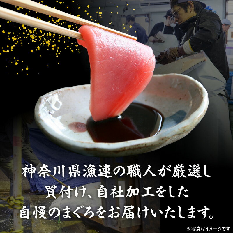 【ふるさと納税】＜種類と容量が選べる＞ 年内発送 天然 本マグロ メバチマグロ 中トロ 赤身 ねぎとろ セット お正月用 12月30日お届け 鮪 まぐろ 刺身 年末 年始 期間限定 神奈川県漁連 神奈川県漁業協同組合連合会 神奈川県 三浦市 おすすめ ランキング プレゼント ギフト