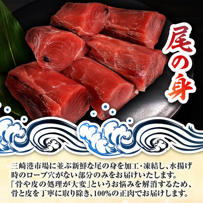 【ふるさと納税】 目鉢鮪「尾の身」（皮・骨なし） マグロ 鮪 まぐろ メバチマグロ めばちまぐろ 魚 魚介類 尾肉 尾の身 正肉 希少部位 三崎 テイ・エス・シイ 神奈川県 三浦市 おすすめ ランキング