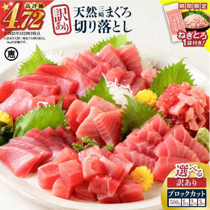 [期間限定 ねぎとろ付き][選べる] 天然 三崎まぐろ 赤身 切落し 500g 〜 3kg ブロック カット 不揃い バラエティ 訳あり まぐろ マグロ 鮪 メバチマグロ 切り落とし 刺身 魚 魚介 三崎恵水産 神奈川県 三浦市 おすすめ ランキング