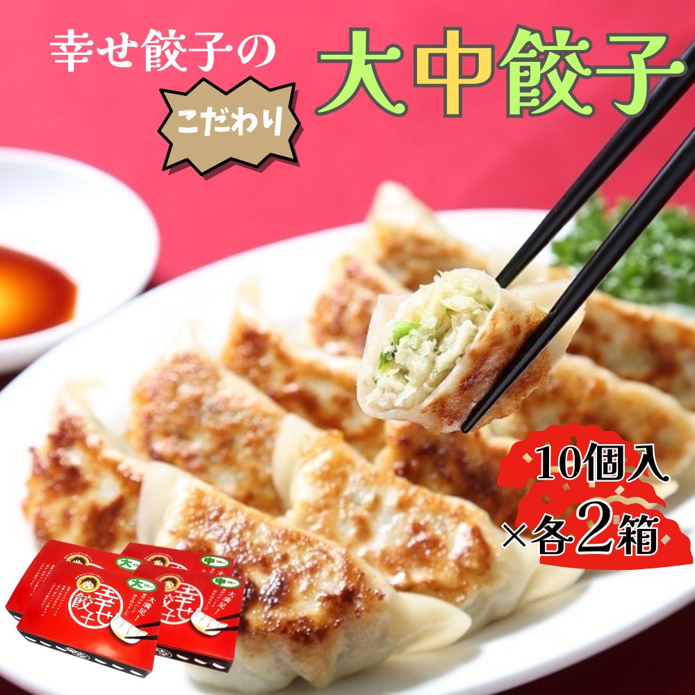 【ふるさと納税】ボリューム満点こだわり大・中餃子(4箱)|餃子 冷凍 お取り寄せ 国産 国産野菜 国産豚肉 おいしい ブランド豚 冷凍餃子 水餃子 大餃子 小分...