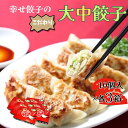 【ふるさと納税】ボリューム満点こだわり大・中餃子(6箱)【配送不可地域:離島・沖縄県】【1332570】016-06-1