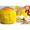 【ふるさと納税】スイート!丹沢ポテト【配送不可地域:離島・沖縄県】【1145473】
