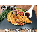 【ふるさと納税】幸せ餃子のこだわり大・中餃子(各1箱)【配送不可地域：離島】【1404207】