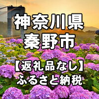 楽天ふるさと納税　【ふるさと納税】神奈川県秦野市への寄付（返礼品はありません）