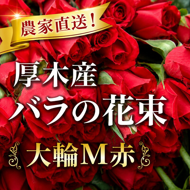 農家直送!厚木産バラの花束 大輪M赤 / バラ 花束 赤バラ 大輪 一輪立ち 農家直送 生花 切り花 ギフト プレゼント 記念日 誕生日 観賞用 自宅用 フラワーギフト 厚木市
