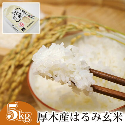 厚木産はるみ玄米　5kg ／ お米 ブランド米 特A 健康 送料無料 神奈川県