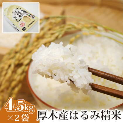 厚木産はるみ精米　4.5kg×2袋 ／ お米 ブランド米 特A 送料無料 神奈川県