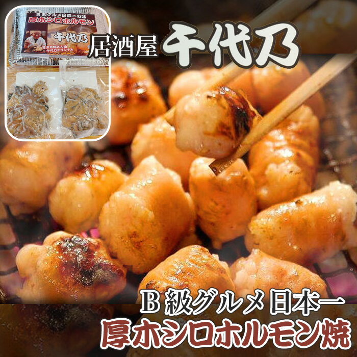 厚木シロホルモン焼 / 豚ホルモン シロコロ B級グルメ 千代乃 送料無料 神奈川県