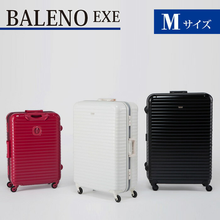 【ふるさと納税】BALENO EXE Mサイズマットブラック ／ キャリーバック スーツケース カバン 軽量 キャスターロック ロック装備 耐熱 耐寒 送料無料 神奈川県