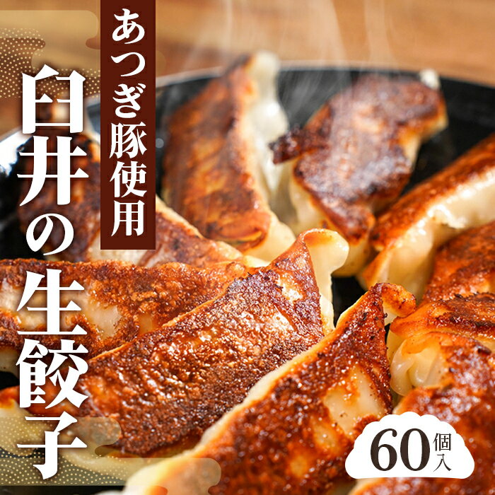 あつぎ豚 臼井の生餃子セット / ぎょうざ ギョーザ 中華 送料無料 神奈川県