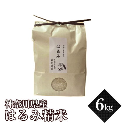 神奈川県産はるみ精米6kg ／ お米 ブランド米 甘み 特A 送料無料 神奈川県