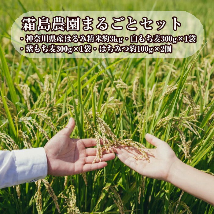 【ふるさと納税】霜島農園まるごとセット ／ お米 もち麦 はちみつ 詰め合わせ 送料無料 神奈川県