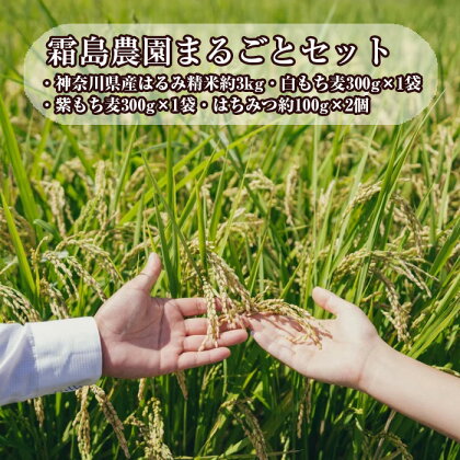 霜島農園まるごとセット ／ お米 もち麦 はちみつ 詰め合わせ 送料無料 神奈川県