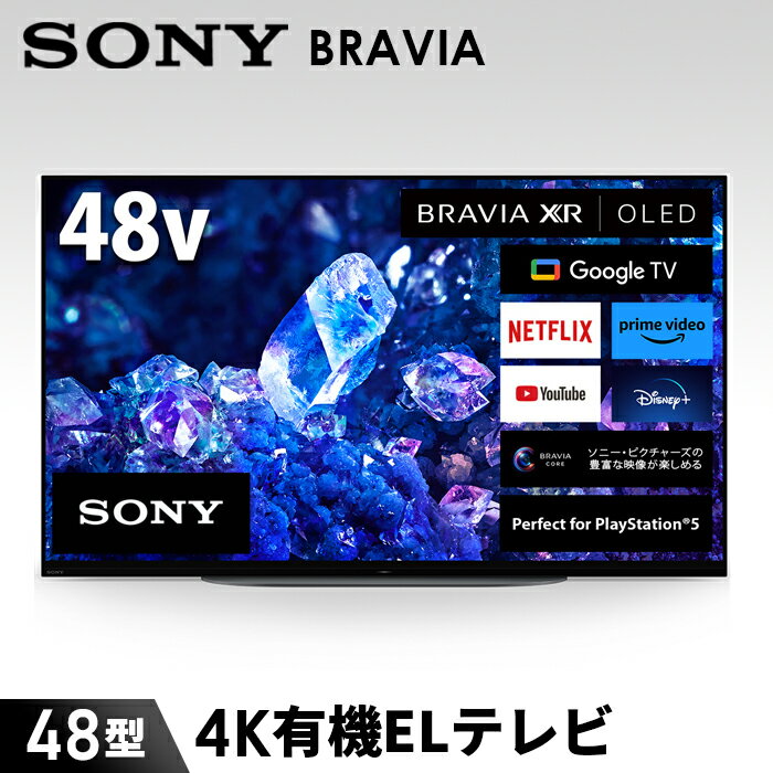 【ふるさと納税】【ソニー】BRAVIA 4K有機ELテレビ 48型 XRJ-48A90K(設置あり) / 高画質 高音質 独自技術 映像 臨場感 送料無料 神奈...